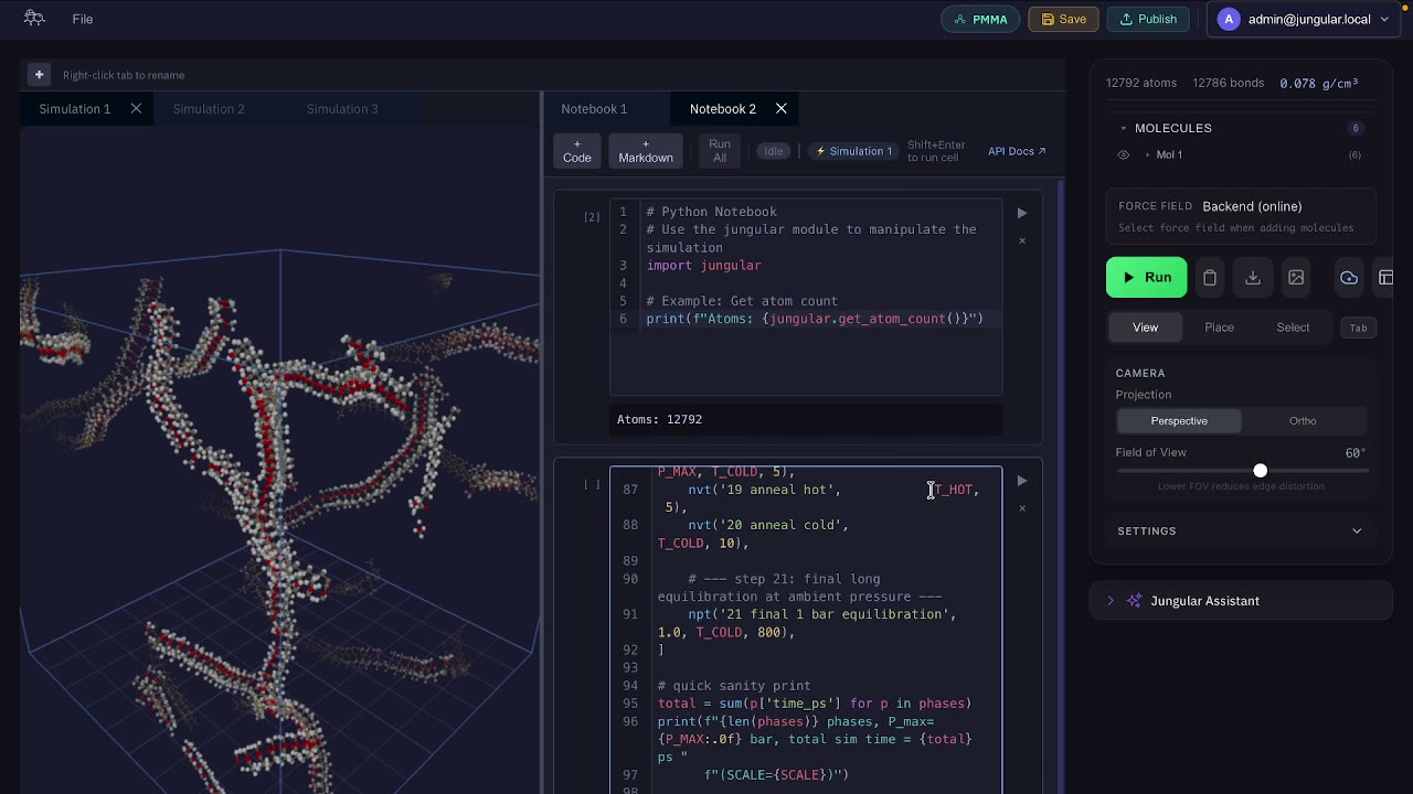 The 21-step protocol built in a Jungular notebook, running on a ~12,000-atom PMMA system