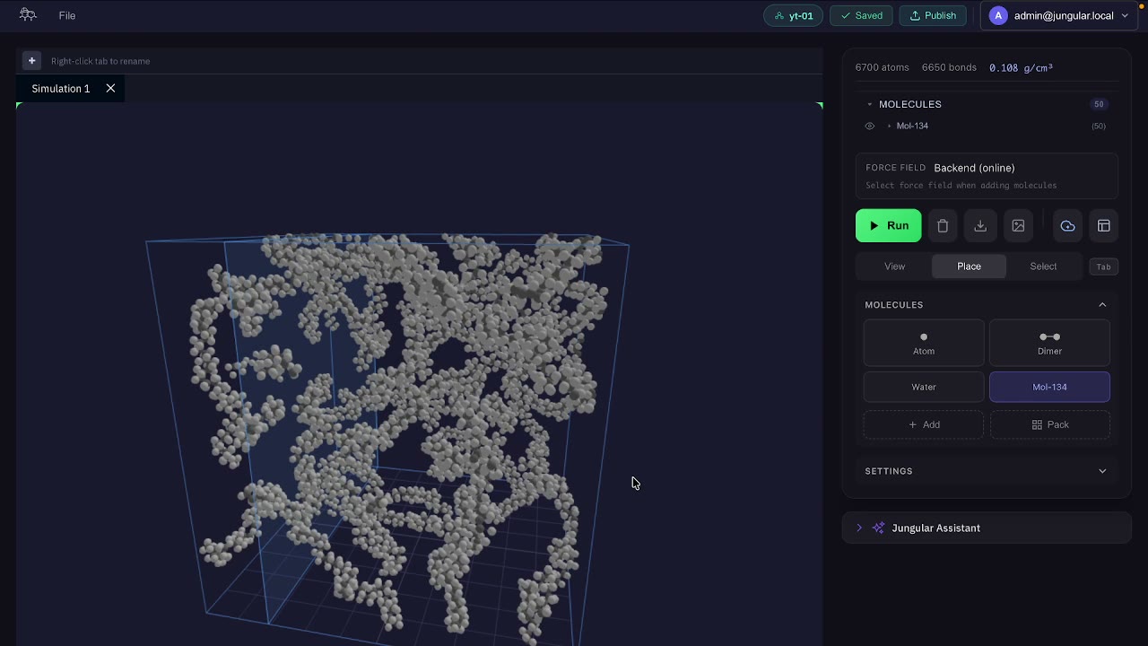 Low-density polymer chains packed into an oversized box in the Jungular builder